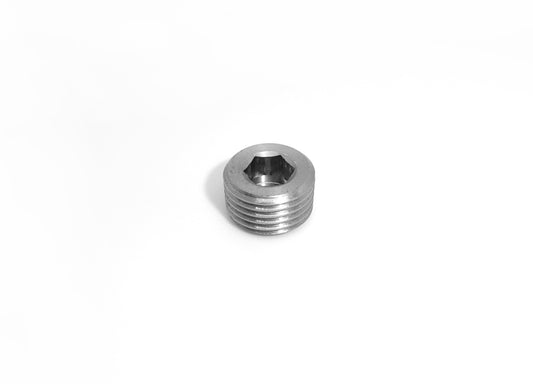 Stainless Steel NPT Blanking Plugs
